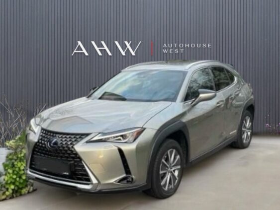 Lexus UX 300e